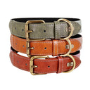 Personalized Leather Dog Collar with Reflective Nameplate - Adjustable for Small, Medium, Large Breeds  ourlum.com   