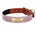 Personalized Leather Dog Collar with Reflective Nameplate - Adjustable for Small, Medium, Large Breeds  ourlum.com Pink S 