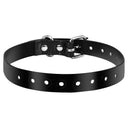 Adjustable Reflective Dog Collar with Waterproof Design  ourlum.com Black TPU collar United State 