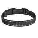 Adjustable Reflective Dog Collar with Waterproof Design  ourlum.com Black Reflect Nylon United State 