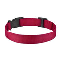 Adjustable Reflective Dog Collar with Waterproof Design  ourlum.com Red Nylon collar United State 