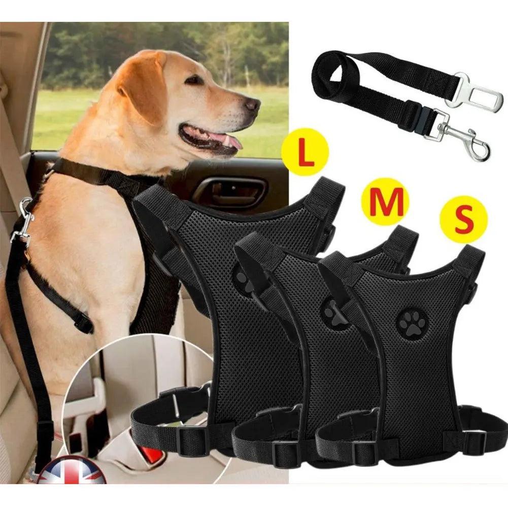 Adventure Dog Harness Leash Set with Snack Bag and Car Safety Belt  ourlum.com   
