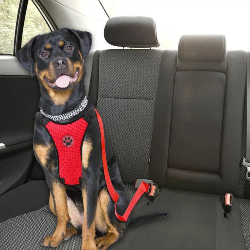 Adventure Dog Harness Leash Set with Snack Bag and Car Safety Belt  ourlum.com   