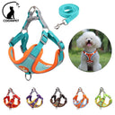 Innovative Dog Harness Set: Ultimate No Pull Solution Safety