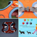 Innovative Dog Harness Set: Ultimate No Pull Solution Safety