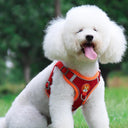 Innovative Dog Harness Set: Ultimate No Pull Solution Safety