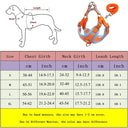 Innovative Dog Harness Set: Ultimate No Pull Solution Safety