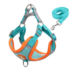 Innovative Dog Harness Set: Ultimate No-Pull Solution & Safety