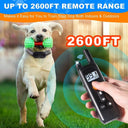 Remote Dog Training Collar with 800 Meter Range and 3 Training Modes  ourlum.com   