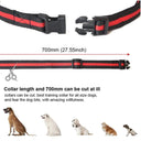 Advanced Waterproof Remote Dog Training Collar with Multiple Training Modes  ourlum.com   