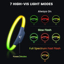 Colorful LED Dog Collar for Enhanced Safety and Visibility  ourlum.com   