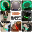 Colorful LED Dog Collar for Enhanced Safety and Visibility  ourlum.com   