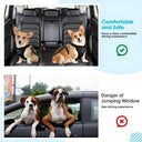 Adjustable Double Dog Car Safety Harness with Reflective Shock Absorption for Pet Travel  ourlum.com   