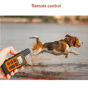 Waterproof Remote Control Electric Dog Training Collar with Shock Vibration Sound - 500m Range  ourlum.com   