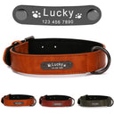 Luxury Personalized Leather Dog Collar with Engraved Nameplate - Adjustable for Small to XXL Breeds - Stylish and Secure Pet Accessory  ourlum.com   