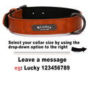 Luxury Personalized Leather Dog Collar with Engraved Nameplate - Adjustable for Small to XXL Breeds - Stylish and Secure Pet Accessory  ourlum.com   