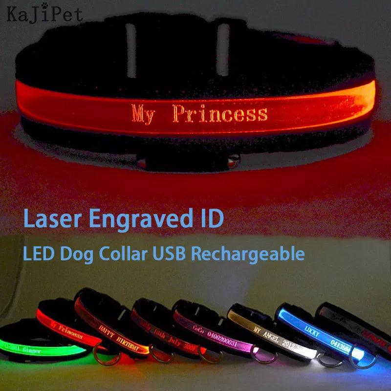 Illuminated Nylon LED Dog Safety Collar with Custom Engraved Tag  ourlum.com   