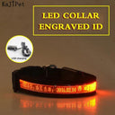 Illuminated Nylon LED Dog Safety Collar with Custom Engraved Tag  ourlum.com Orange USB Charging XS 25-35cm 