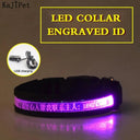 Illuminated Nylon LED Dog Safety Collar with Custom Engraved Tag  ourlum.com Pink USB Charging XS 25-35cm 