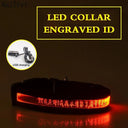 Illuminated Nylon LED Dog Safety Collar with Custom Engraved Tag  ourlum.com Red USB Charging XS 25-35cm 