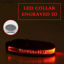 Illuminated Nylon LED Dog Safety Collar with Custom Engraved Tag  ourlum.com Red Button Battery XS 25-35cm 