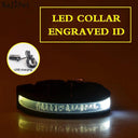 Illuminated Nylon LED Dog Safety Collar with Custom Engraved Tag  ourlum.com White USB Charging XS 25-35cm 