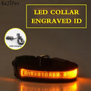 Illuminated Nylon LED Dog Safety Collar with Custom Engraved Tag  ourlum.com Yellow USB Charging XS 25-35cm 