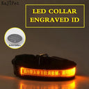 Illuminated Nylon LED Dog Safety Collar with Custom Engraved Tag  ourlum.com Yellow ButtonBattery XS 25-35cm 