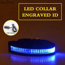 Illuminated Nylon LED Dog Safety Collar with Custom Engraved Tag  ourlum.com Blue USB Charging XS 25-35cm 