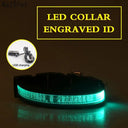 Illuminated Nylon LED Dog Safety Collar with Custom Engraved Tag  ourlum.com Green USB Charging XS 25-35cm 