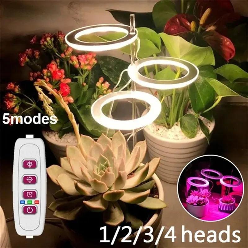 Angel Ring LED Grow Light with Automatic Timer and Full Spectrum - Enhance Plant Growth and Flowering  ourlum.com   