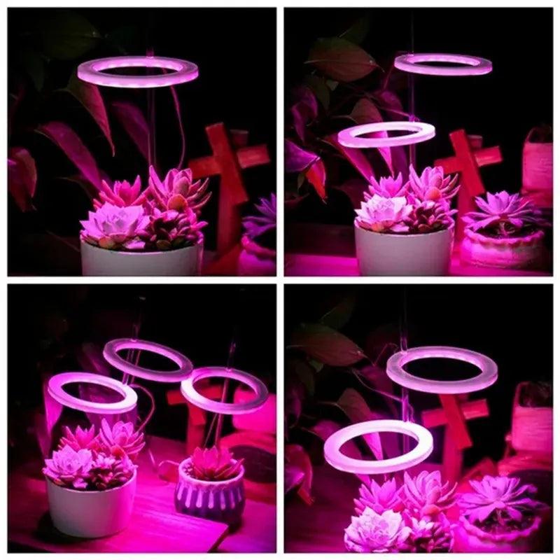 Angel Ring LED Grow Light with Automatic Timer and Full Spectrum - Enhance Plant Growth and Flowering  ourlum.com   