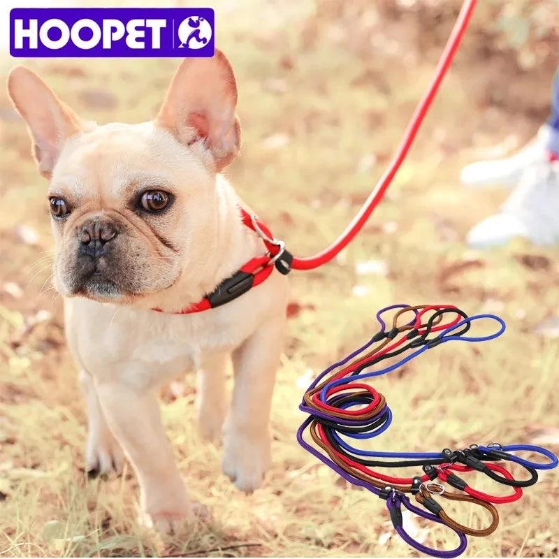 Golden Teddy Dog Traction Rope Chain Collar Leash Set - Comfortable Nylon Material for Large Dogs  ourlum.com   