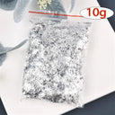 Shimmering Metallic Craft Foil Flakes Set for Art and Decoration  ourlum.com 10g-silver 1  