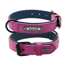 Personalized Leather Dog Collar and Leash Set for Stylish Dogs  ourlum.com Purple Collar S 