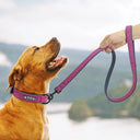 Personalized Leather Dog Collar Leash Set for Small to Large Breeds  ourlum.com   