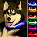 LED Light-Up Dog Safety Collar - Adjustable Glowing Pet Necklace for Small, Medium, Large Dogs  ourlum.com   