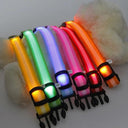 LED Light-Up Dog Safety Collar - Adjustable Glowing Pet Necklace for Small, Medium, Large Dogs  ourlum.com   