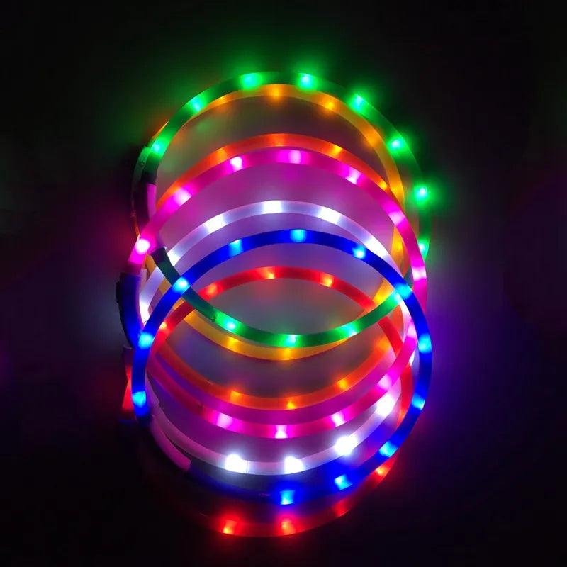 LED Light-Up Dog Collar with USB Recharge Night Safety Flashing Necklace  ourlum.com   