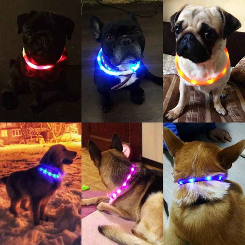 LED Light-Up Dog Collar with USB Recharge Night Safety Flashing Necklace  ourlum.com   