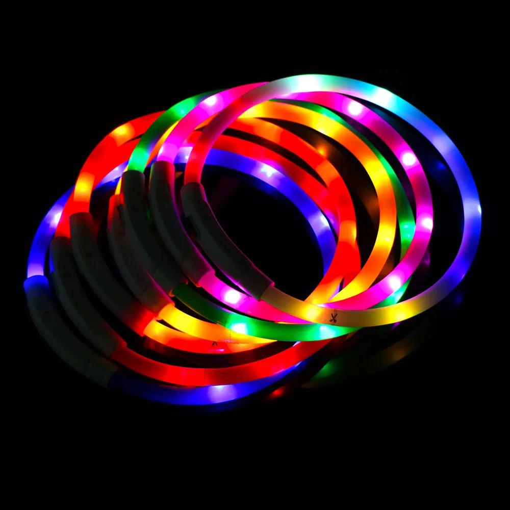 Glowing LED Dog Collar with USB Recharge - Night Safety Flash & Visibility  ourlum.com   