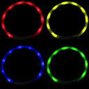 Glowing LED Dog Collar with USB Recharge - Night Safety Flash & Visibility  ourlum.com   