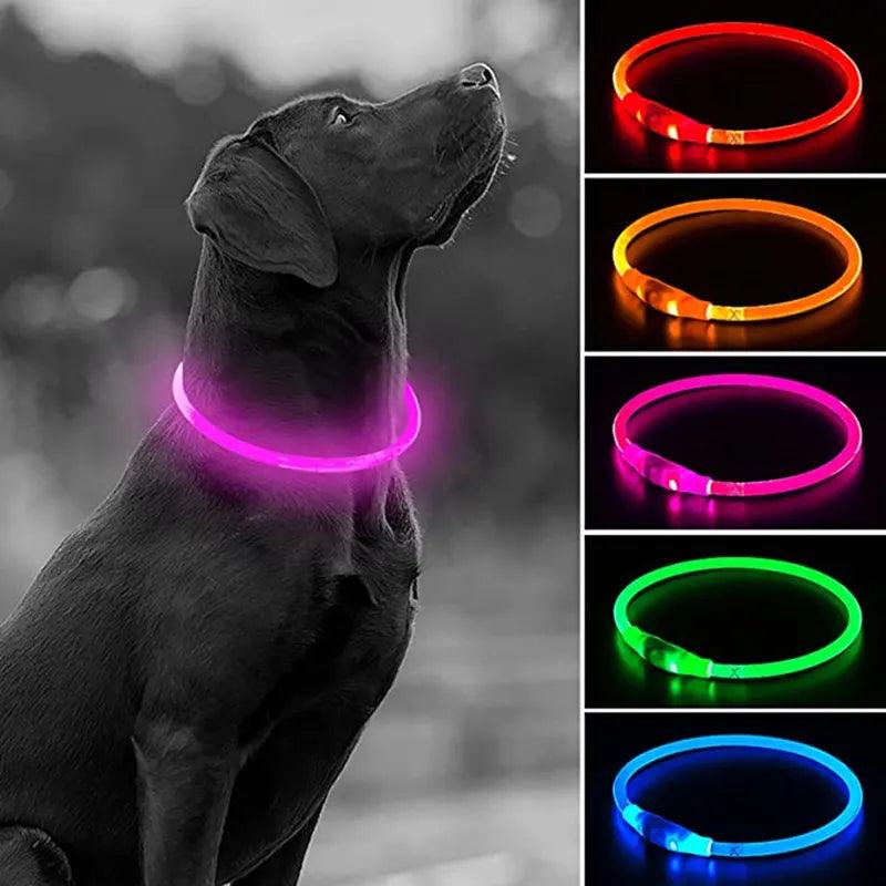 Glowing USB Rechargeable LED Dog Collar for Pet Safety  ourlum.com   