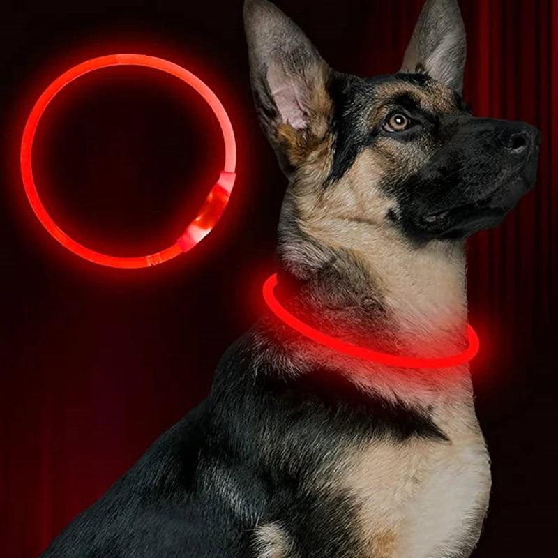 Glowing USB Rechargeable LED Dog Collar for Pet Safety  ourlum.com   