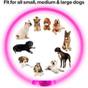 Glowing USB Rechargeable LED Dog Collar for Pet Safety  ourlum.com   