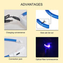 Glowing USB Rechargeable LED Dog Collar for Pet Safety  ourlum.com   