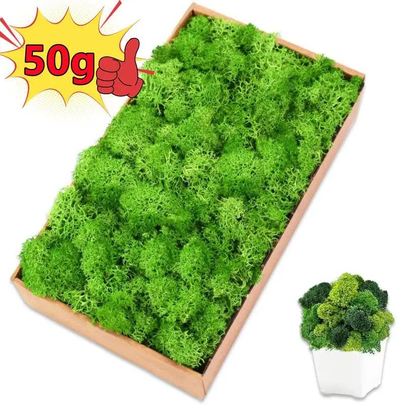 Artificial Green Moss for Home and Garden Decor - DIY Crafts and Gifts  ourlum.com   