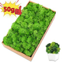 Artificial Green Moss for Home and Garden Decor - DIY Crafts and Gifts  ourlum.com   