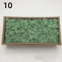 Artificial Green Moss for Home and Garden Decor - DIY Crafts and Gifts  ourlum.com 10 50g 