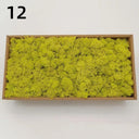 Artificial Green Moss for Home and Garden Decor - DIY Crafts and Gifts  ourlum.com 12 50g 